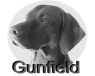 Gunfield Kennel
