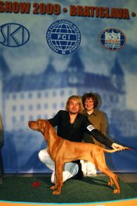 Piszkei Dics is World Winner and Best of Breed
